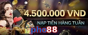 pho88